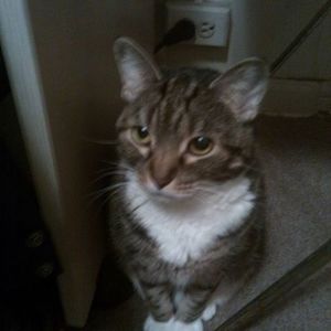 Meet your Posher, Sandi